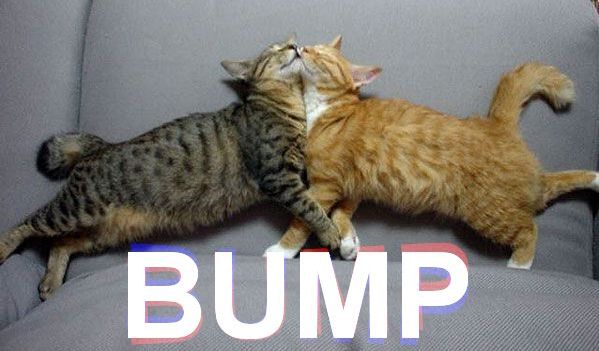 Name:  cat bump..jpg
Views: 1839
Size:  38.3 KB