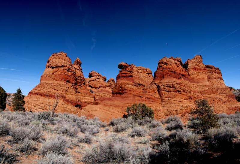 Name:  218_hoodoos_Panor&.jpg
Views: 629
Size:  73.7 KB
