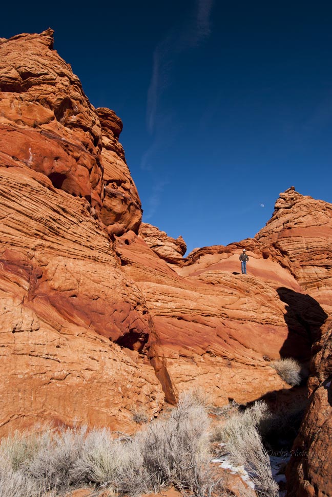 Name:  223_hoodoos_jw..jpg
Views: 637
Size:  170.5 KB