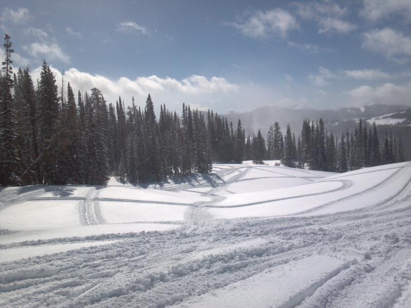 Name:  2012-02-24_11-42-04&.jpg
Views: 1193
Size:  64.0 KB