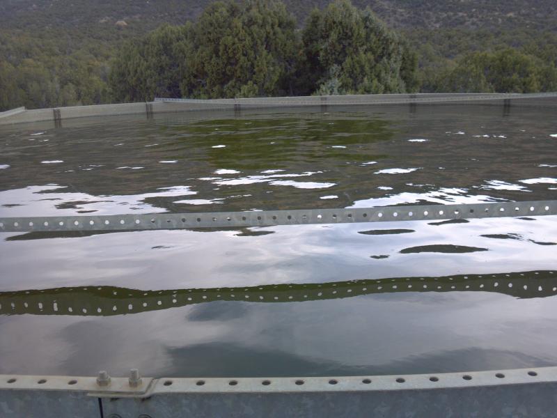 Name:  2012-04-04_19-18-15&.jpg
Views: 1106
Size:  60.1 KB