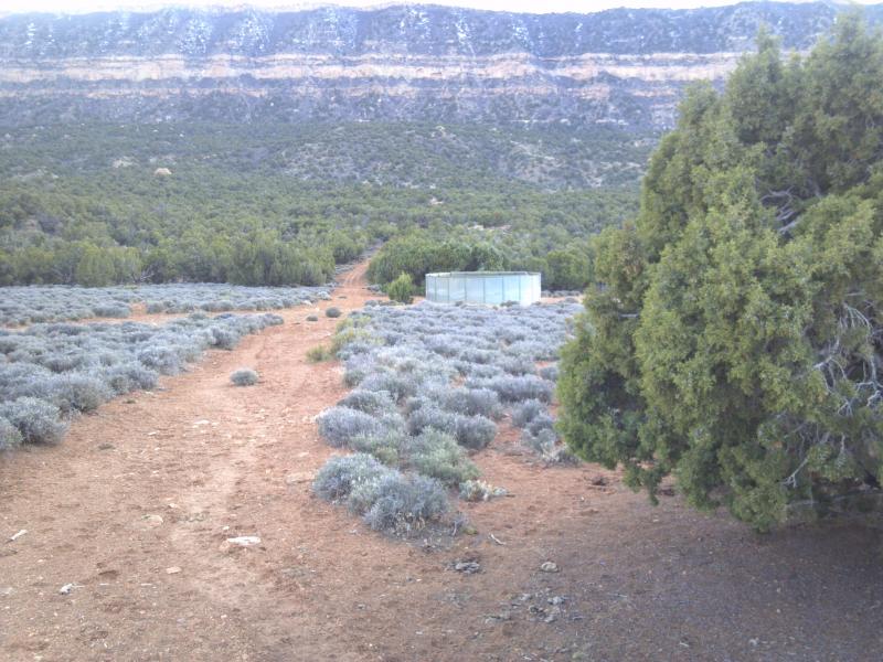 Name:  2012-04-04_19-17-41&.jpg
Views: 1136
Size:  90.8 KB