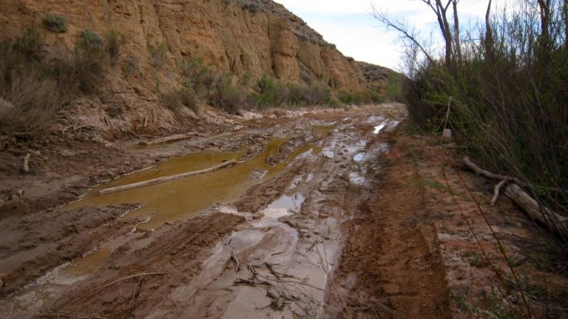 Name:  CottonwoodRoad..jpg
Views: 1378
Size:  63.4 KB
