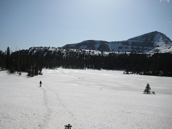 Name:  IMG_2033..jpg
Views: 1164
Size:  80.5 KB