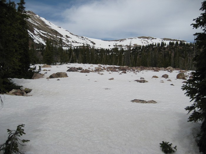 Name:  IMG_2007..jpg
Views: 1103
Size:  96.1 KB
