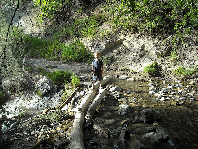 Name:  DSCN9417_6107.JPG
Views: 674
Size:  212.9 KB