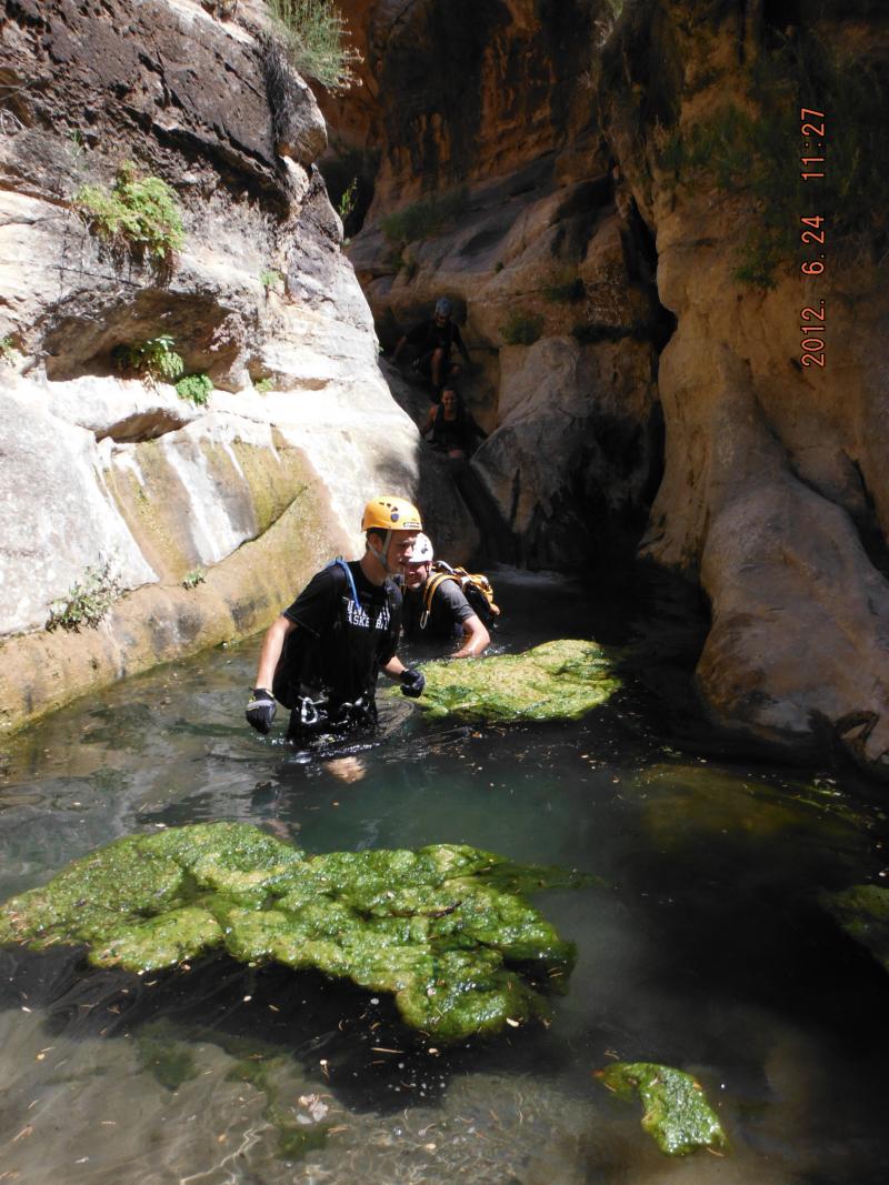 Name:  DSCF1419.jpg
Views: 607
Size:  134.7 KB