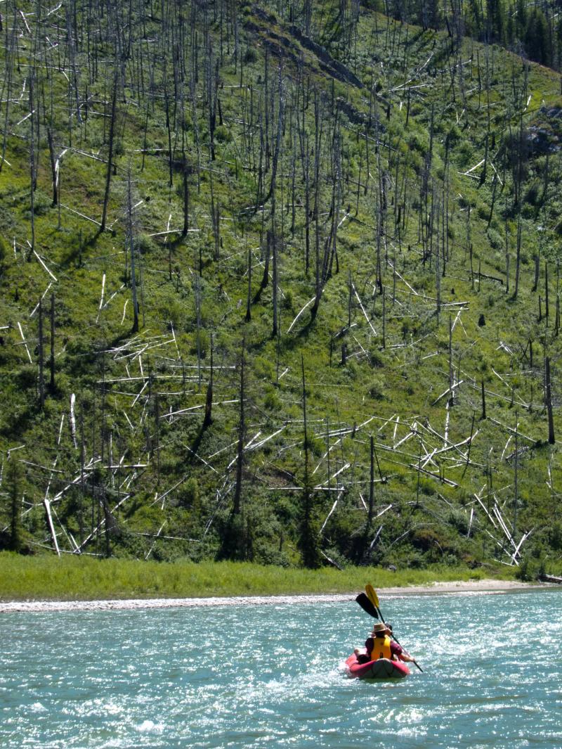 Name:  06302012_RaftingJacksonSnakeRiver-3.jpg
Views: 949
Size:  223.1 KB