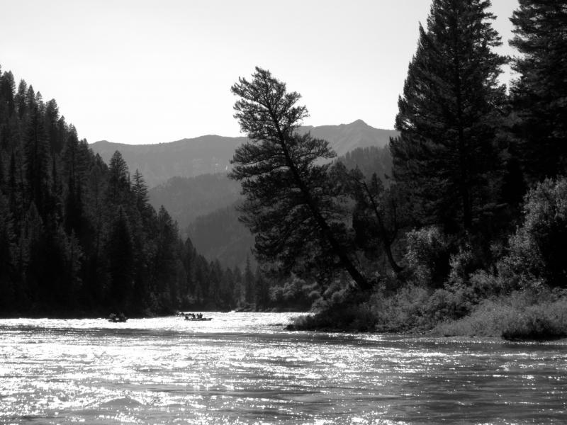 Name:  06302012_RaftingJacksonSnakeRiver-7.jpg
Views: 962
Size:  74.6 KB