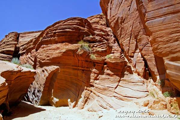 Name:  bg_b6_w.jpg
Views: 1243
Size:  139.7 KB