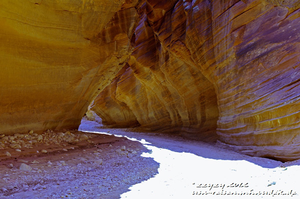 Name:  bg_b8_w.jpg
Views: 1293
Size:  108.2 KB