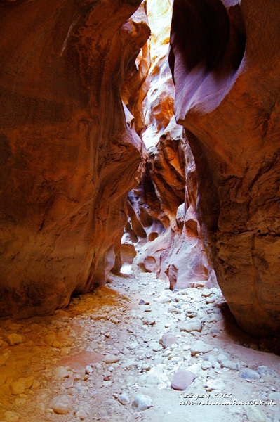 Name:  bg_b2_w.jpg
Views: 1257
Size:  116.6 KB