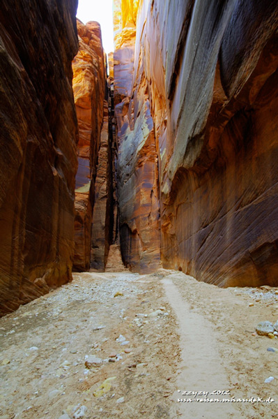 Name:  bg_b3_w.jpg
Views: 1276
Size:  117.2 KB
