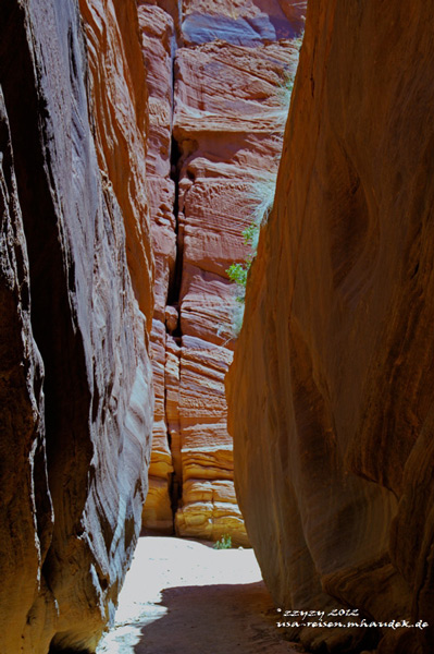 Name:  bg_b5_w.jpg
Views: 1327
Size:  110.6 KB