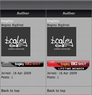 Name:  big_shot_ranks.jpg
Views: 3475
Size:  86.0 KB