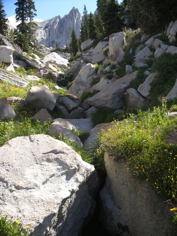 Name:  DSCF1336a.JPG
Views: 289
Size:  128.0 KB