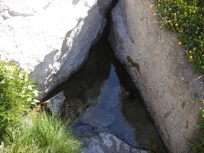Name:  DSCF1337a.JPG
Views: 254
Size:  124.1 KB