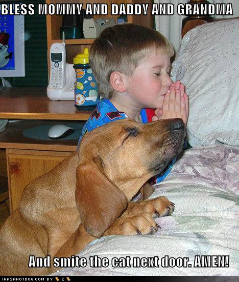 Name:  a_aaa-funny-dog-pray-unique.jpg
Views: 2210
Size:  190.9 KB