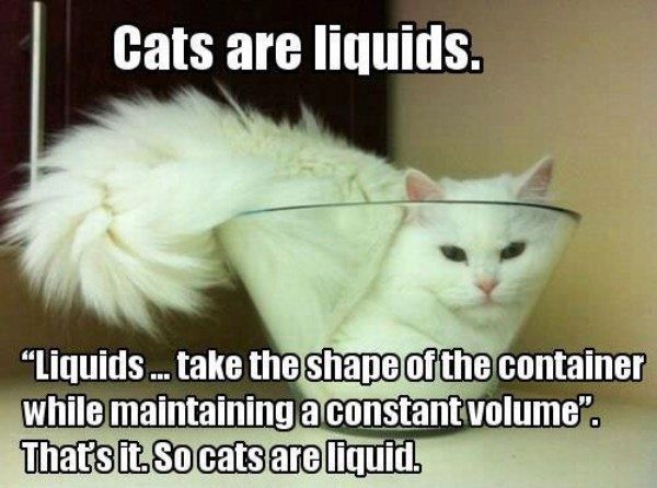 Name:  Cats_Are_Liquids.jpg
Views: 859
Size:  51.1 KB