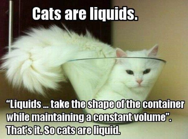 Name:  Cats_Are_Liquids.jpg
Views: 1031
Size:  51.1 KB