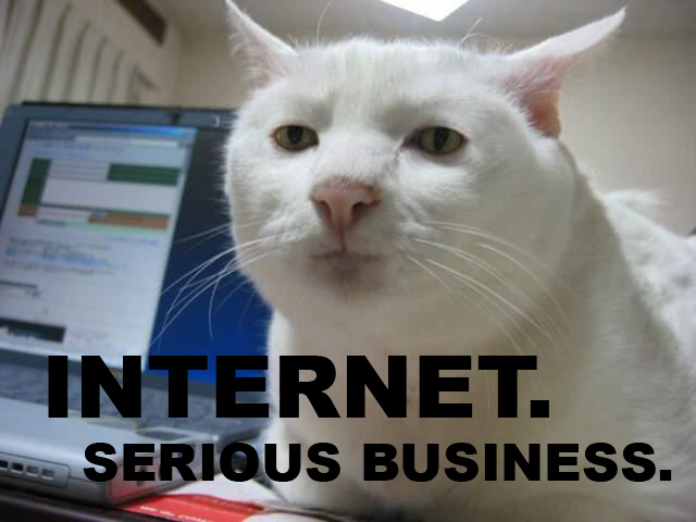 Name:  internet-serious-business-cat.jpg
Views: 4658
Size:  79.6 KB