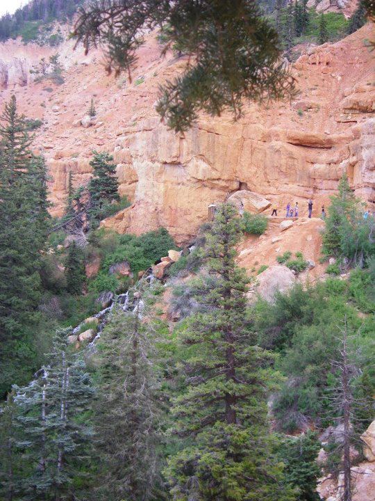 Name:  422339_4570707944475_865020178_n.jpg
Views: 819
Size:  104.3 KB