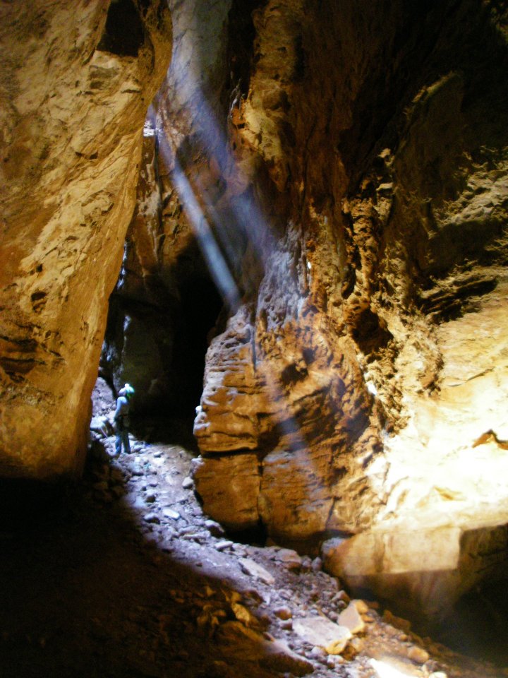 Name:  564008_4415475983773_951880600_n.jpg
Views: 547
Size:  138.9 KB