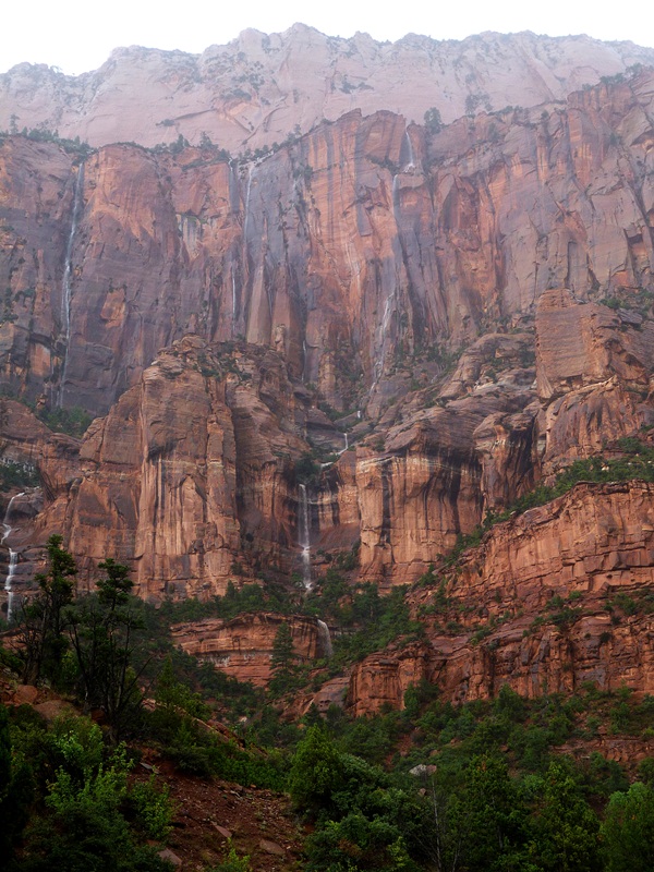 Name:  P1130190.JPG
Views: 824
Size:  231.0 KB