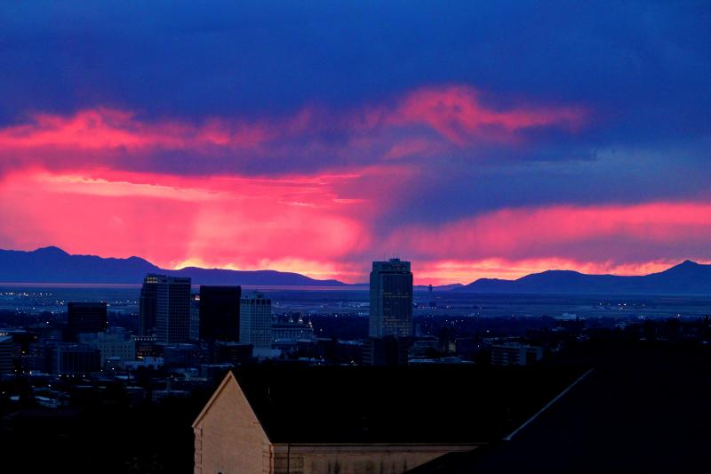 Name:  IMG_7968_69_70_fused.jpg
Views: 257
Size:  33.6 KB