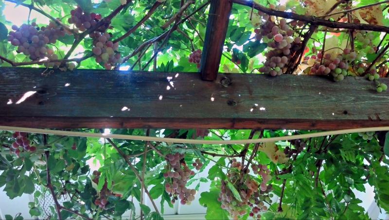 Name:  2012-09-22_12-15-24_HDR.jpg
Views: 263
Size:  87.5 KB
