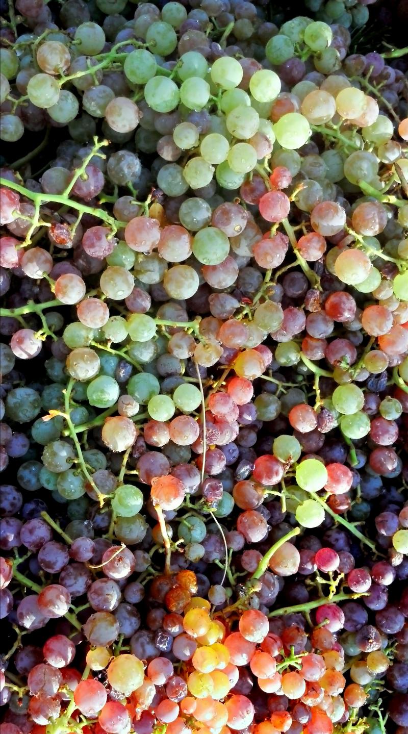 Name:  2012-09-22_18-07-23_HDR.jpg
Views: 257
Size:  228.2 KB