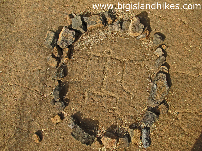 Name:  kohala_puako_malama_petroglyphs.jpg
Views: 1324
Size:  748.0 KB