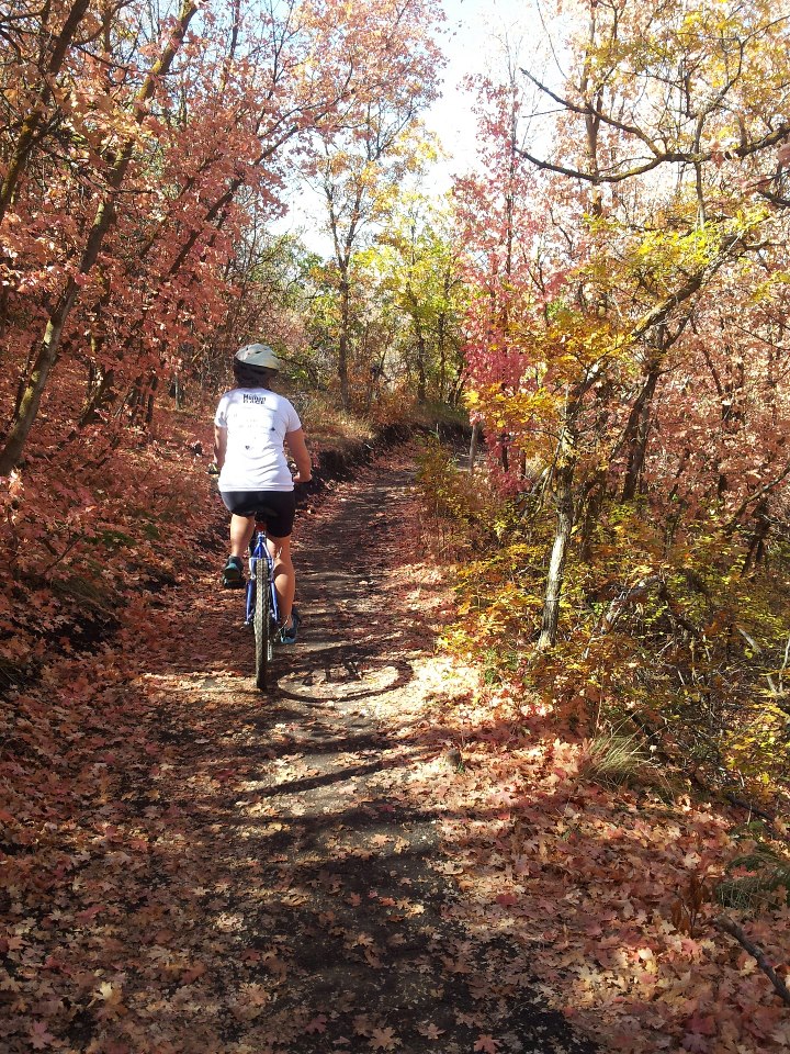 Name:  Corner Canyon 3.jpg
Views: 326
Size:  336.2 KB