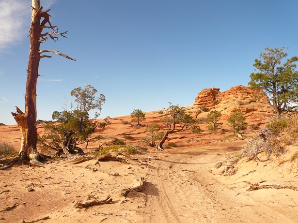 Name:  canaan traverse 020.jpg
Views: 1523
Size:  146.8 KB