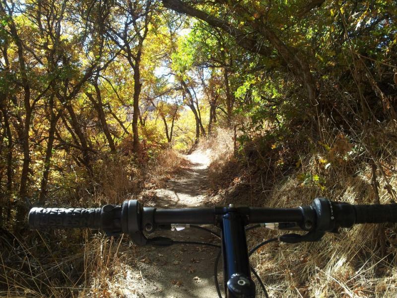 Name:  Corner Canyon 04.jpg
Views: 298
Size:  147.2 KB