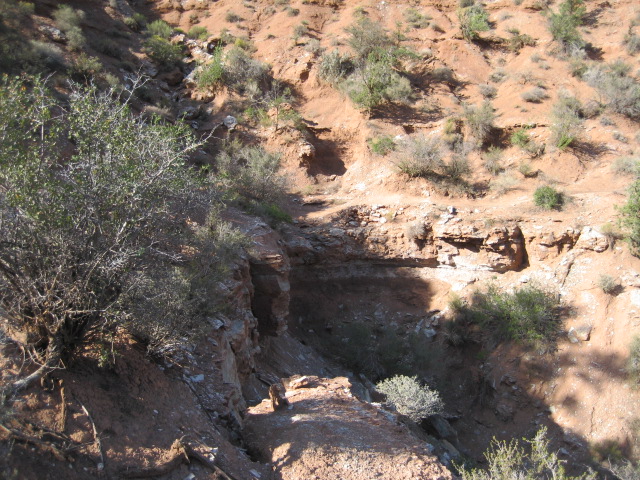 Name:  IMG_1917.JPG
Views: 245
Size:  180.7 KB