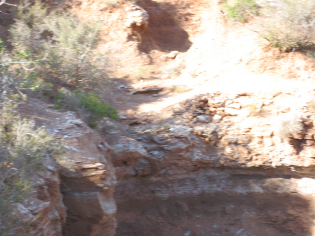 Name:  IMG_1916.JPG
Views: 250
Size:  116.1 KB