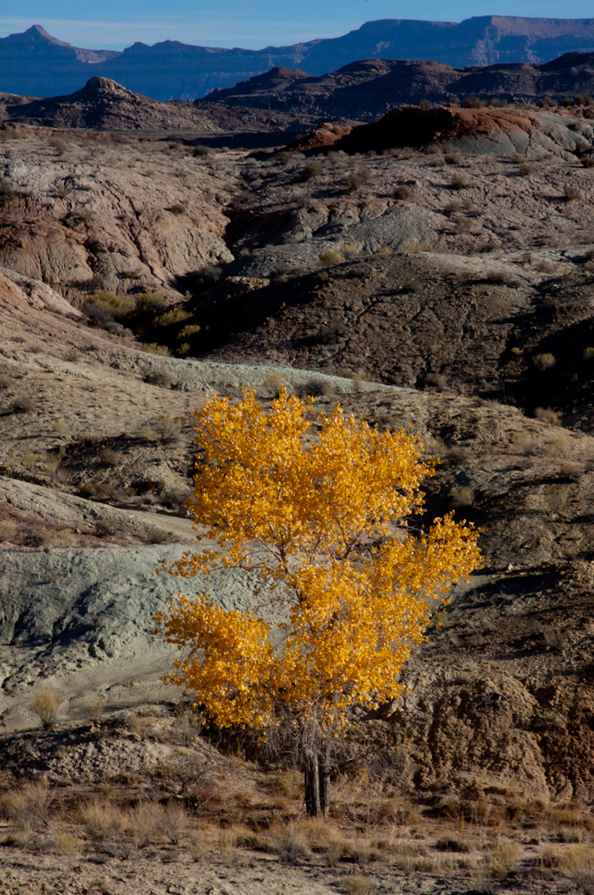 Name:  10202012_SanRafaelSwellTidwell2.jpg
Views: 436
Size:  473.3 KB