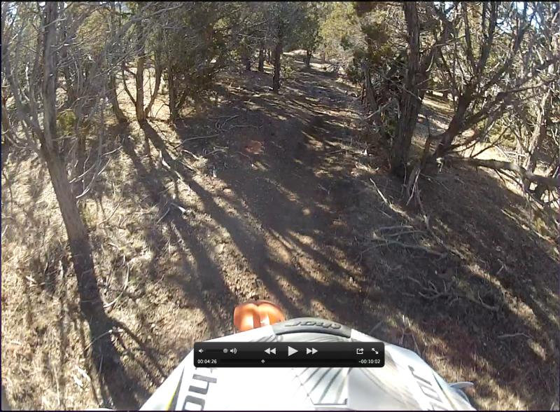Name:  Juniper single  in Cherry Creek area.jpg
Views: 139
Size:  116.9 KB