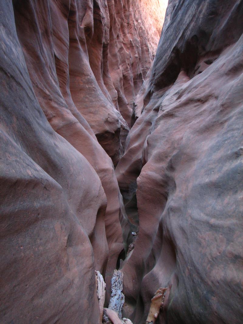 Name:  Desert Weekend 190.jpg
Views: 1795
Size:  109.1 KB