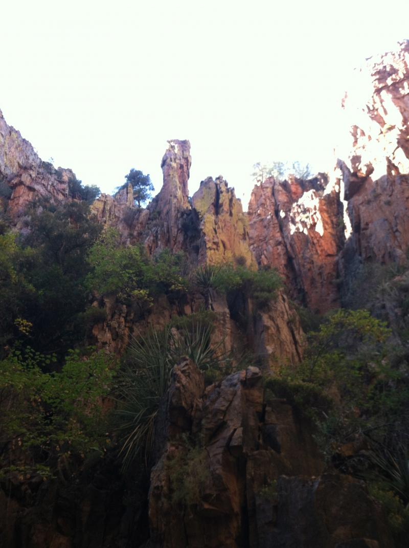 Name:  IMG_0576.jpg
Views: 664
Size:  87.6 KB