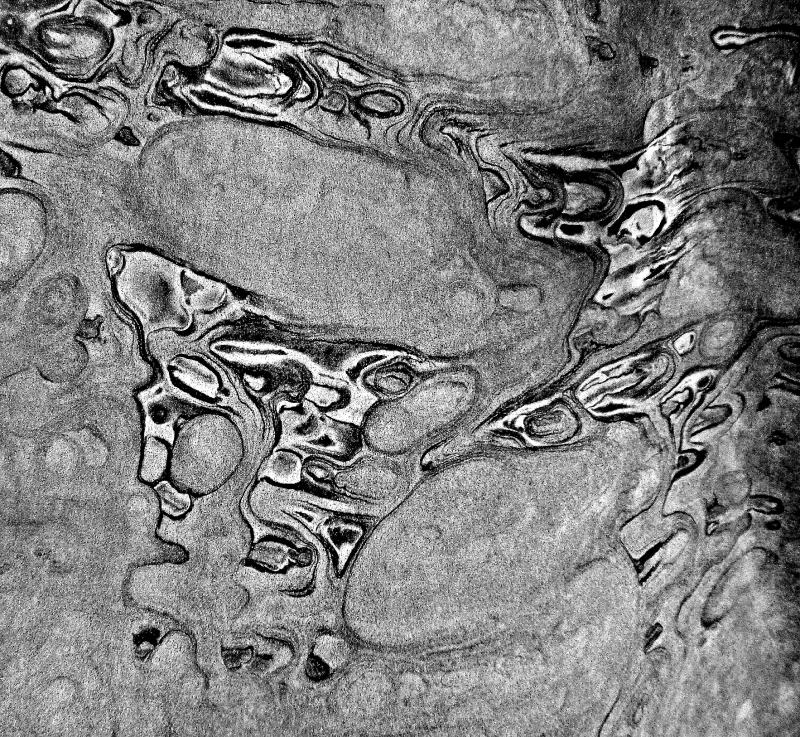 Name:  P1010272bw.jpg
Views: 580
Size:  231.0 KB