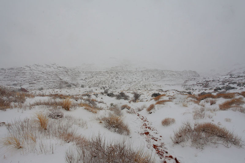 Name:  North Coyote.jpg
Views: 371
Size:  98.5 KB