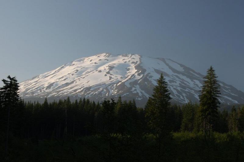 Name:  Helens.jpg
Views: 347
Size:  34.8 KB