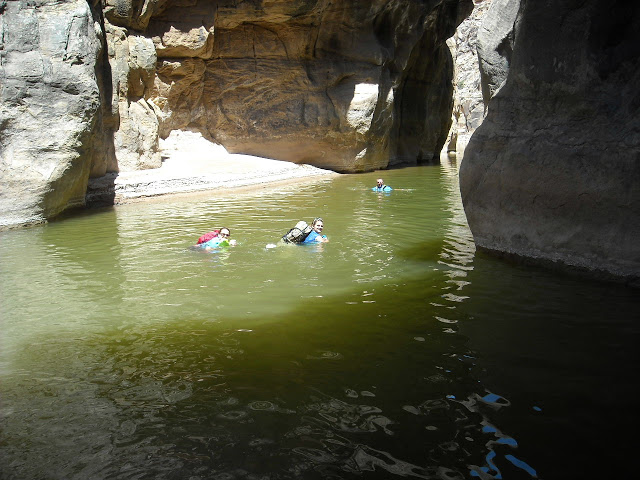 Name:  DSCN9519_7178.JPG
Views: 778
Size:  106.6 KB