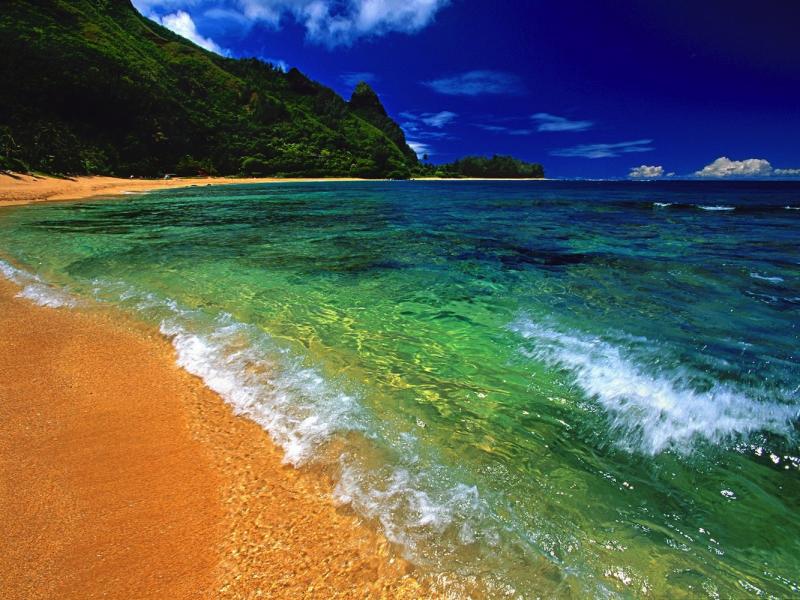 Name:  hawaii beach vacation rental.jpg
Views: 787
Size:  90.8 KB
