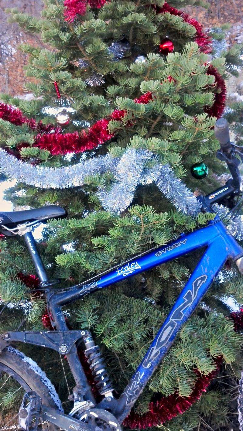 Name:  2012-12-22_12-06-29_HDR.jpg
Views: 1983
Size:  285.5 KB