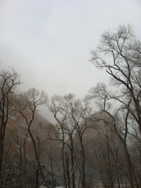 Name:  IMG_0918.jpg
Views: 216
Size:  91.1 KB