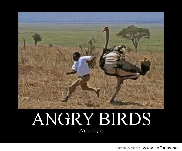 Name:  a.baa-Angry-Birds-Africa-style.jpg
Views: 900
Size:  41.5 KB