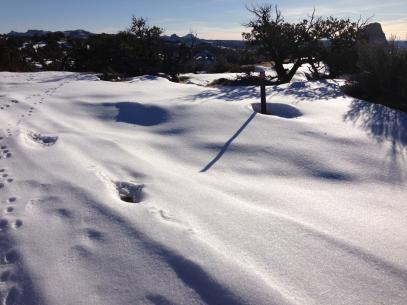 Name:  SnowHike.jpg
Views: 380
Size:  21.7 KB